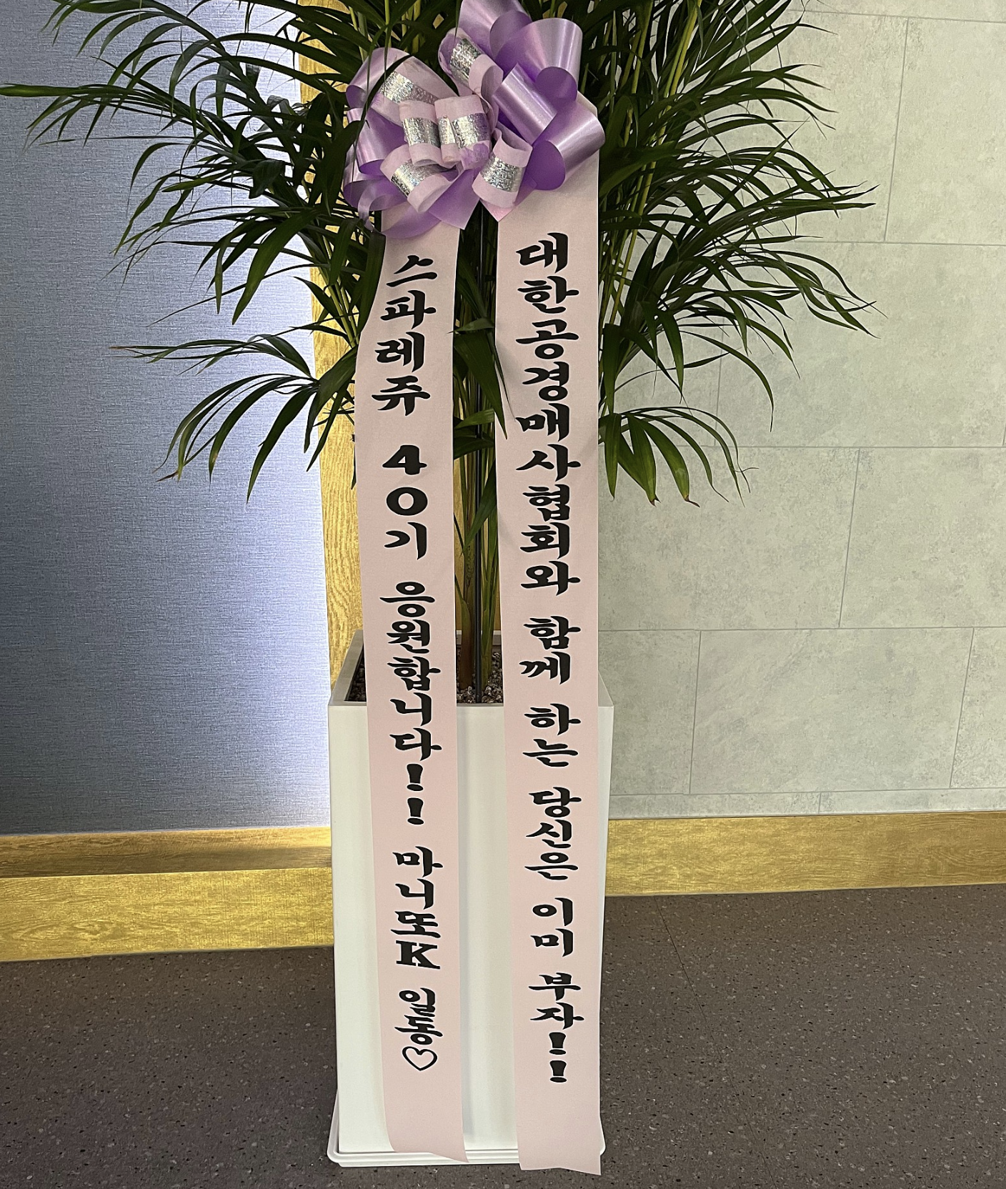 808cb9a98551a.png